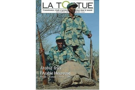 La Tortue
