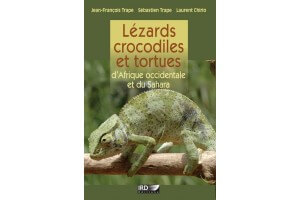 Lézards, crocodiles et...