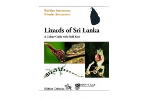 Lizards of Sri Lanka a...