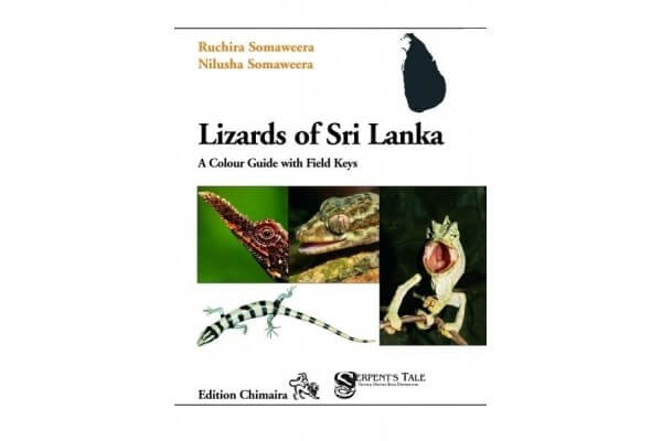 Lizards of Sri Lanka a Colour Guide with Field Keys