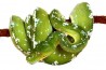 Morelia viridis, "Aru"