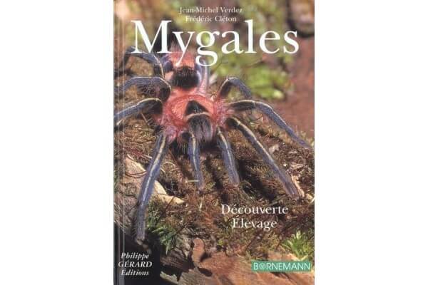 Mygales, découverte et élevage