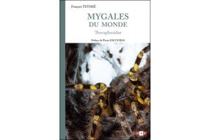 Mygales du monde -...