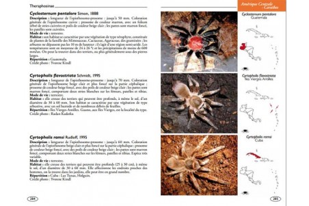 Mygales du monde - Theraphosidae
