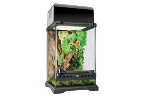 Nano Terrarium 20 x 20 x 30 cm