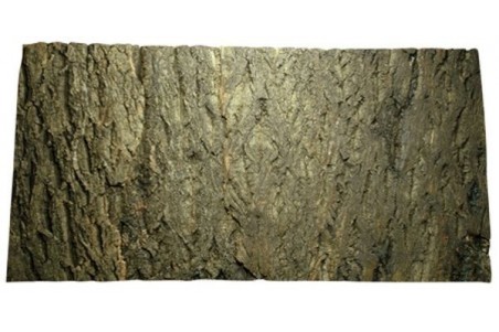 Natural Cork Background