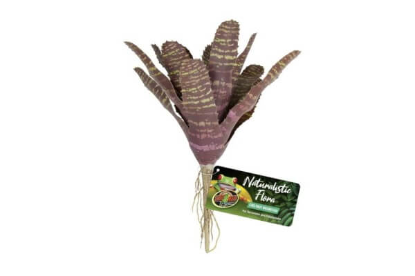 Naturalistic Flora, Chestnut Bromelia Naturalistic Flora, Chestnut Bromelia