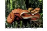 Natural History of Neotropical Treeboas (genus Corallus)