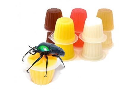 Beetle & Insect Jelly