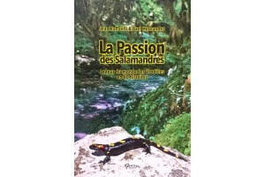 La passion des salamandres,...