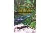 La passion des salamandres, un tour du monde incroyables des salamandres en 80 histoires.