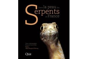 Dans la peau des serpents de France