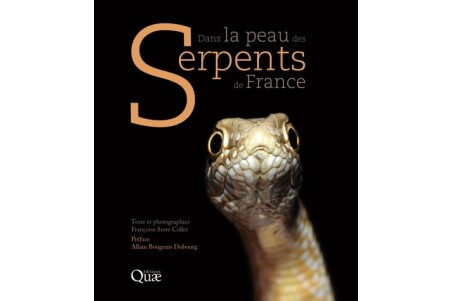 Dans la peau des serpents de France