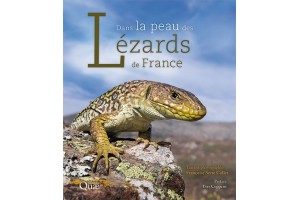 Dans la peau des lézards de France