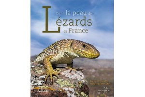 Dans la peau des lézards de...