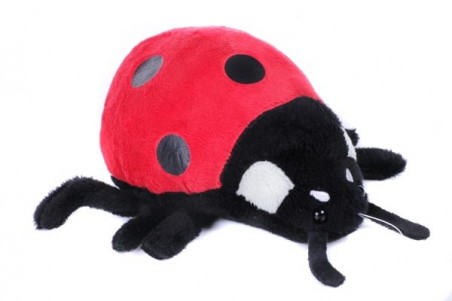 peluche coccinelle