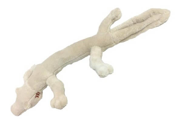 Peluche salamandre blanche (protée) Peluche salamandre blanche (protée)
