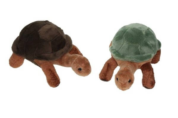Peluche tortue de terre Peluche tortue de terre