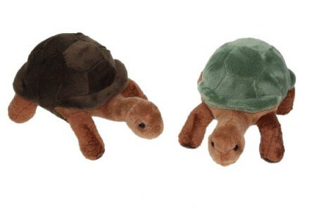 Peluche tortue de terre