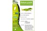 Phelsuma grandis, adulte