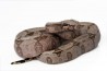 Boa constrictor amarali