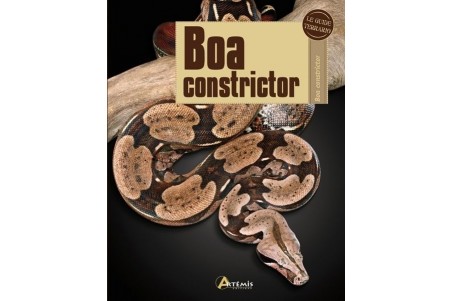 Boa constrictor