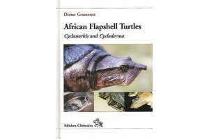 African Flapshell Turtles...