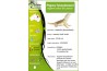 Pogona henrylawsoni