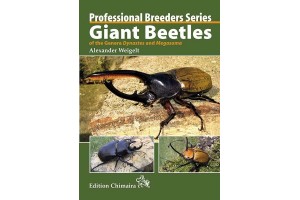 Giant Beetles of the Genera...