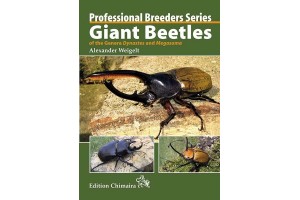 Giant Beetles of the Genera Dynastes and Megasoma