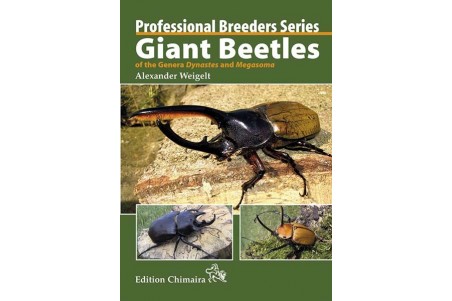 Giant Beetles of the Genera Dynastes and Megasoma