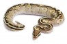 Python regius, lesser fire, femelle