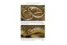 The African and Middle Eastern Burrowing Asps (Atractaspis spp.) and Their Allies: Biology, Venom and Envenoming