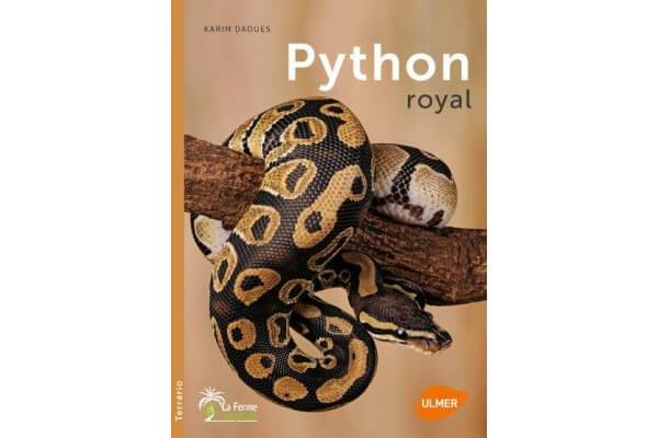 Python royal
