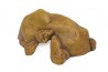 Grotte pour reptile