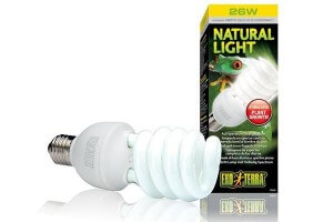 Repti Glo - Natural Light