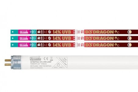 Dragon Lamp T5, tube fluorescent 14% UVB