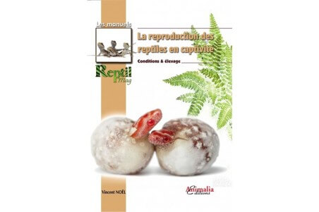 La reproduction des reptiles en captivité