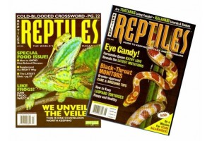 Reptiles