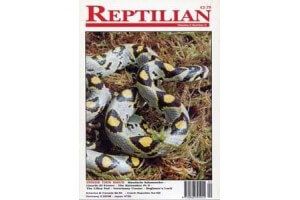 Reptilian