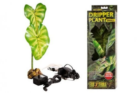 Dripper Plant