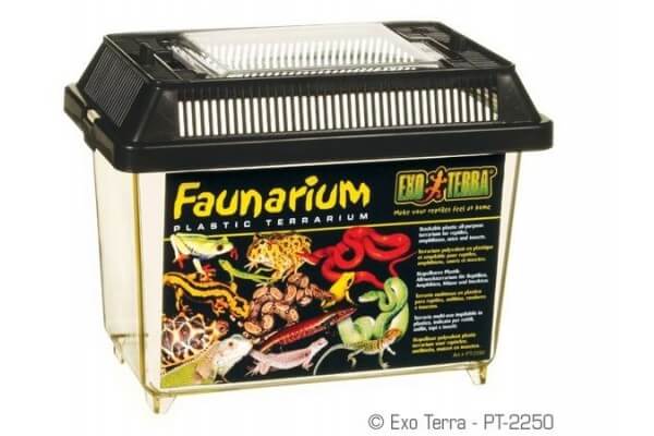 Faunarium Faunarium