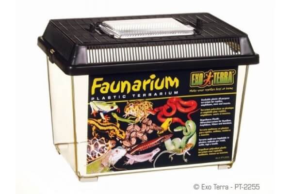 Faunarium Faunarium