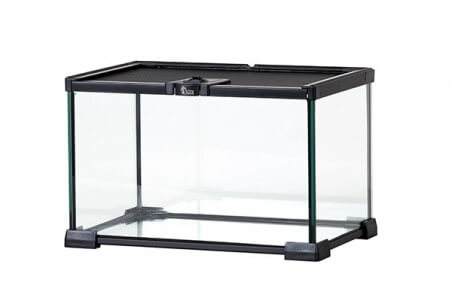 Mini Terrarium avec grille