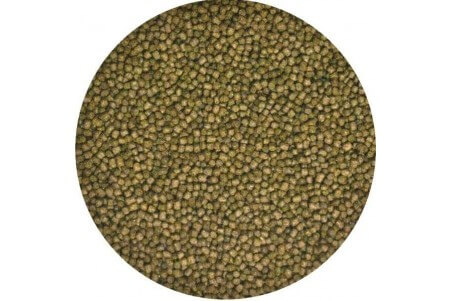 Aquatic Turtle Food - Juvénile
