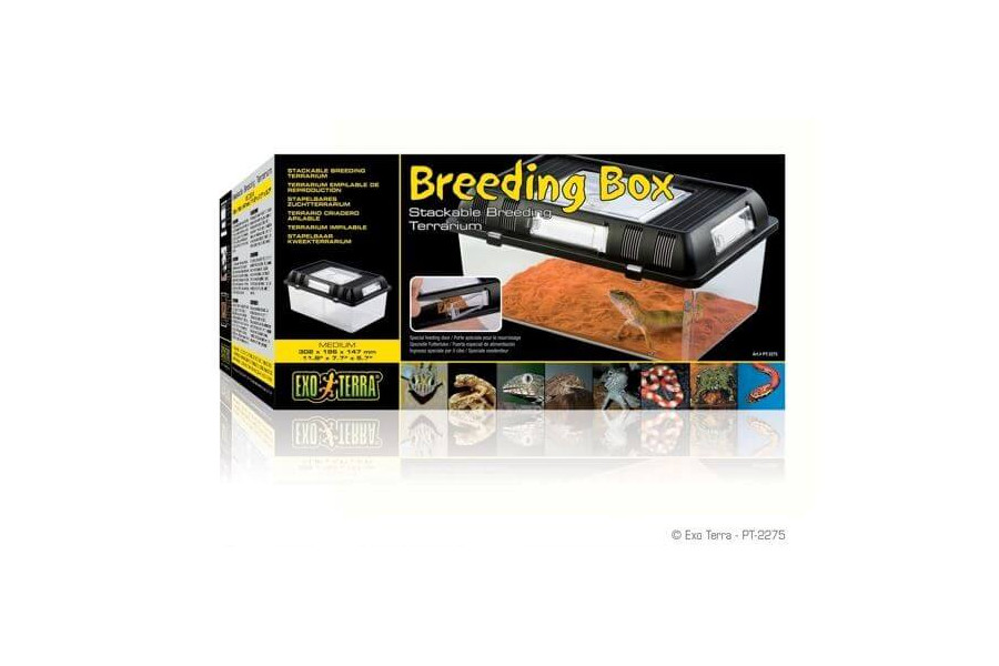 Breeding Box Breeding Box