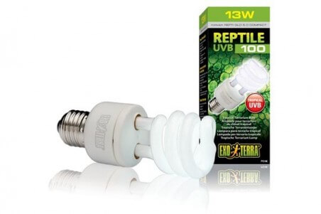 Repti Glo 5.0 - Reptile UVB100