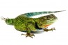 Sceloporus malachiticus