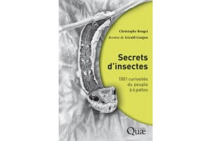 Secrets d'insectes