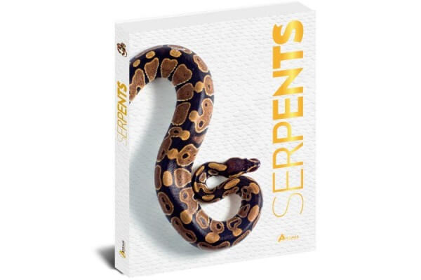 Serpents Serpents